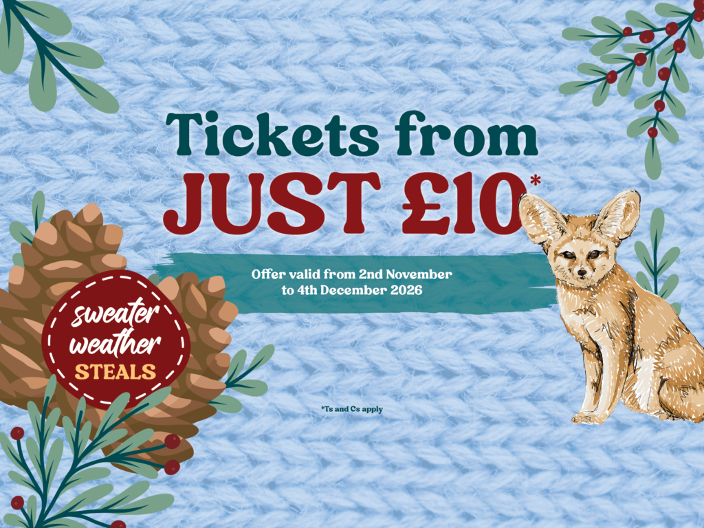 Sweater Weather Steals - Colchester Zoological Society